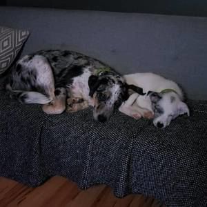 Meet your Posher, Kerri